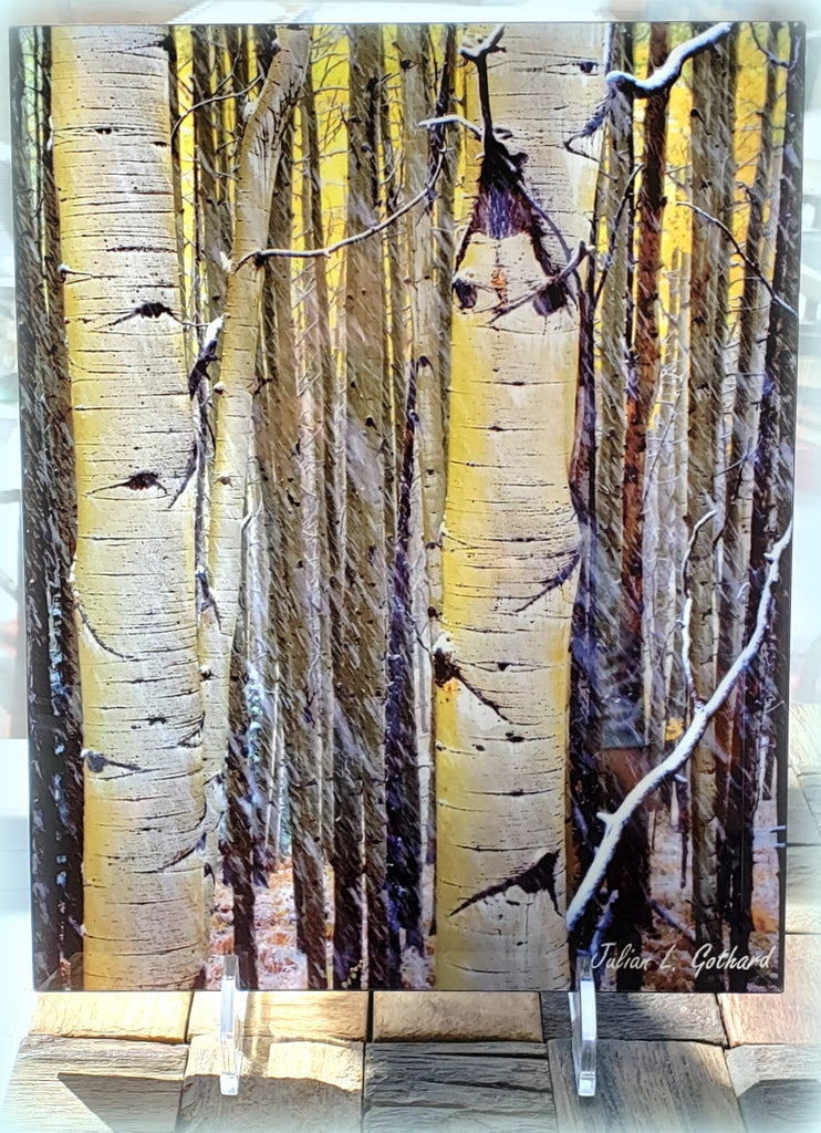 Wind swept snow and aspens in the fall