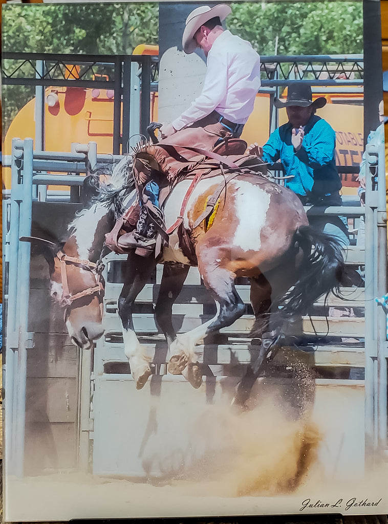 Ride that Bucking Bronco