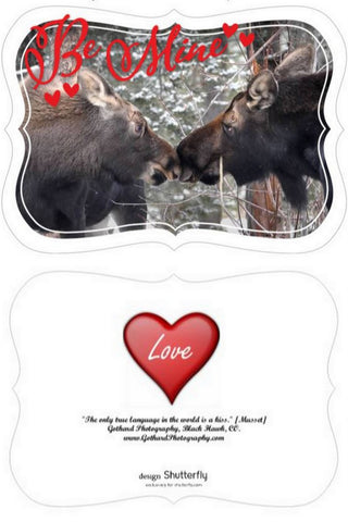 Be Mine Valentine's Day Greetings Card