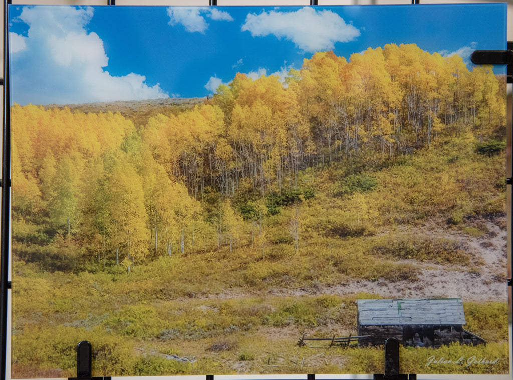 Fall at Rabbit Ears Pass