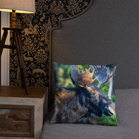 Bull Moose Drinking