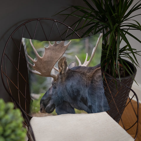 Bull Moose in Profile