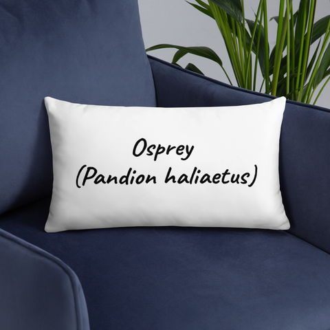 Pair of Osprey Courting