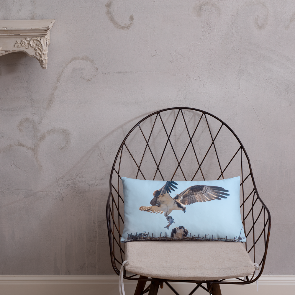 Pair of Osprey Courting