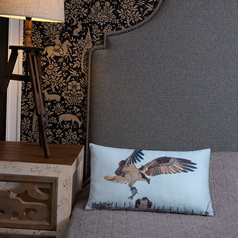 Pair of Osprey Courting