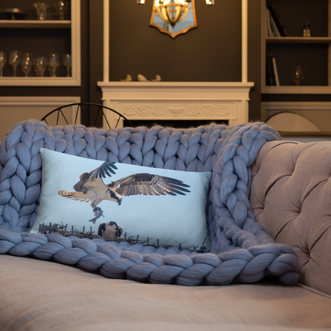 Pair of Osprey Courting