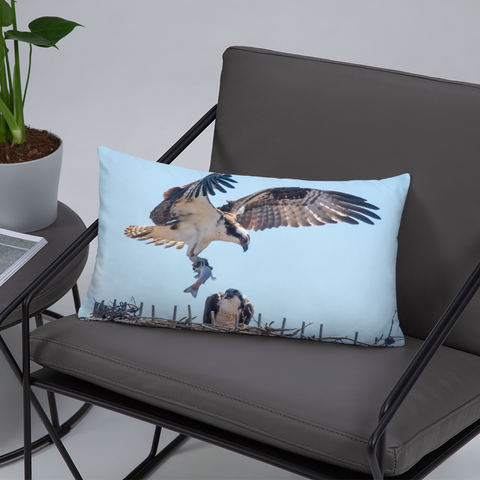 Pair of Osprey Courting