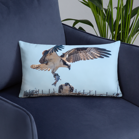 Pair of Osprey Courting