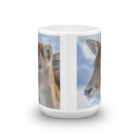 Fallow Deer