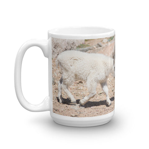 Rocky Mountain Goat Kid