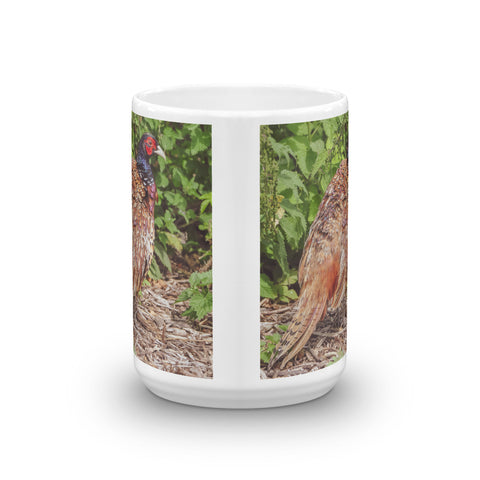 English Pheasant