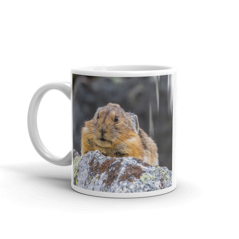 Grumpy Pika