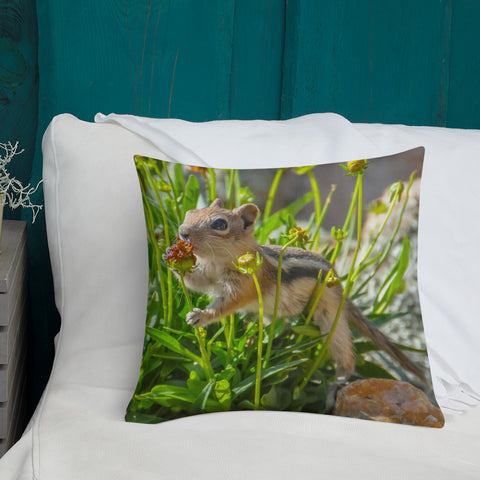 Golden-Mantled Ground Squirrel