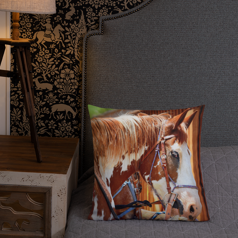 Belgian Painted Horse