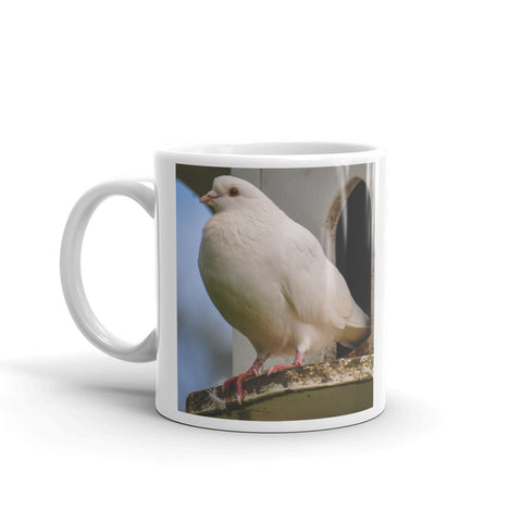 Dove and Dovecote