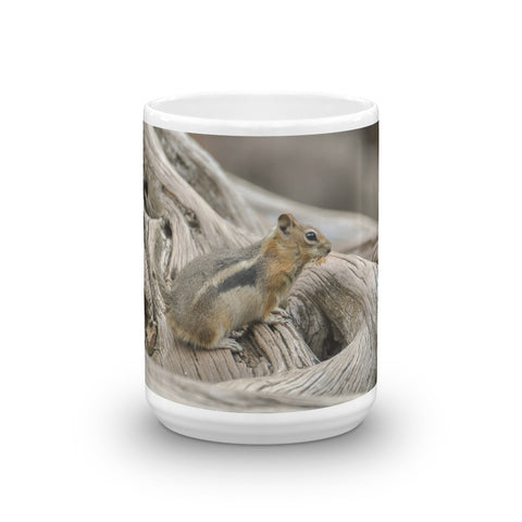 Rocky Mountain Golden-Mantled Ground Squirrel