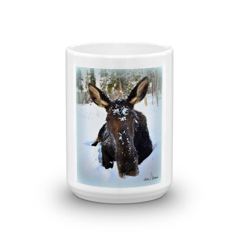 Recumbent Moose in the Snow