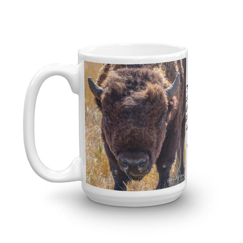 Buffalo at the Rocky Mountain Arsenal