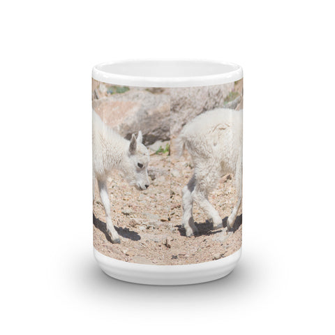 Rocky Mountain Goat Kid