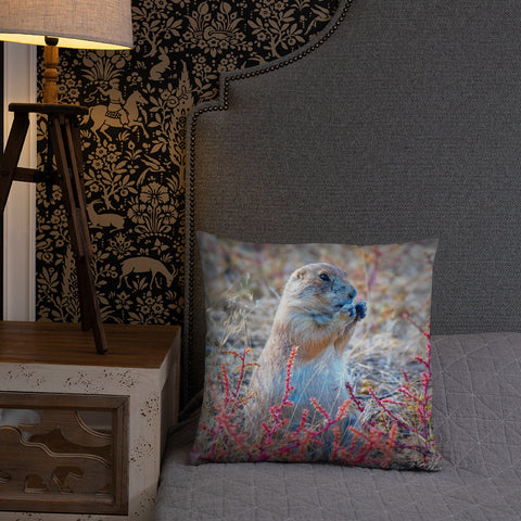 Prairie Dog at the Arsenal