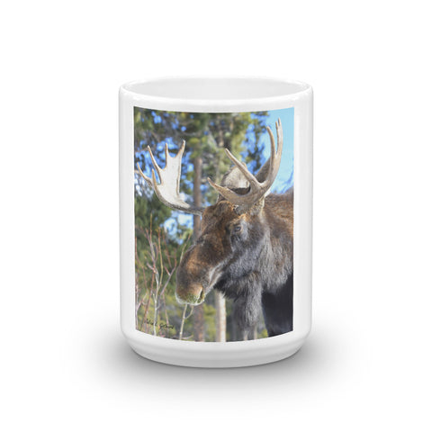 Jefferson the Bull Moose