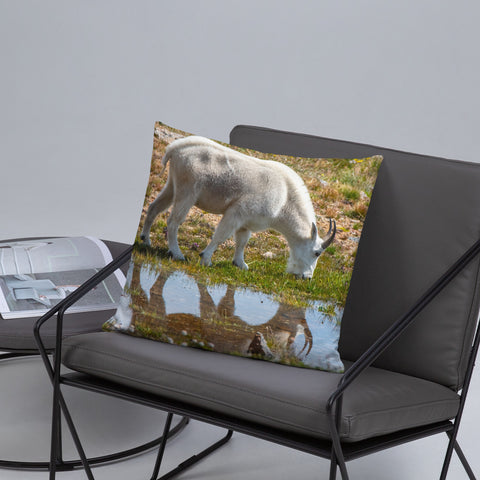 Rocky Mountain Goat Reflecting Pool