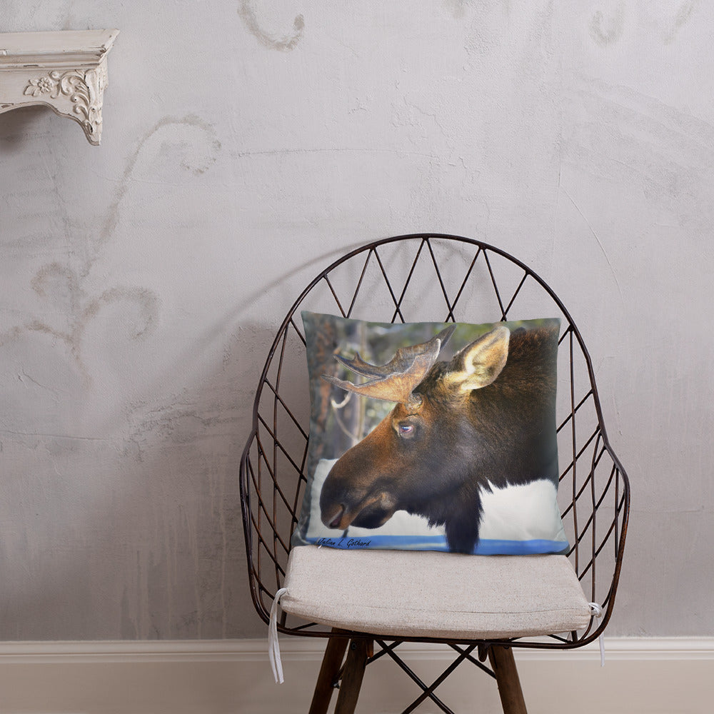 Bull Moose