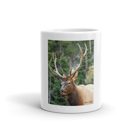 Bull Elk on the Old Fall River Road
