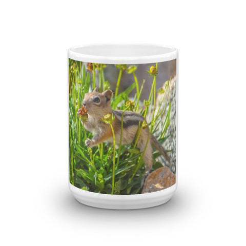 Golden-mantled Ground Squirrel