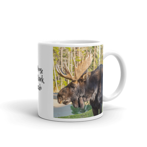 Bull Moose in Black Hawk