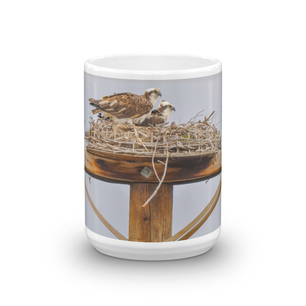 Pair of Nesting Osprey