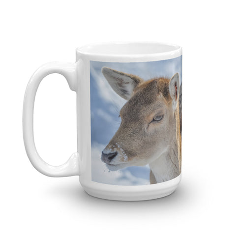 Fallow Deer