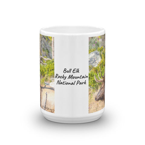 Twelve Point Bull Elk at Rocky Mountain National Park