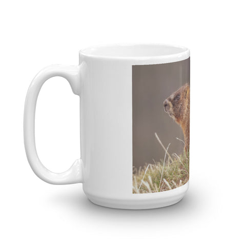 Yellow-Bellied Marmot