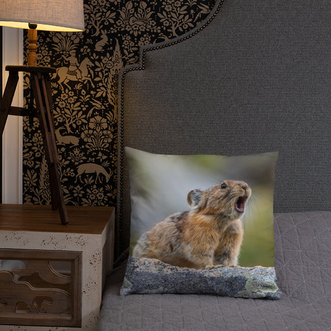 Pikas Don't Squeak They Roar