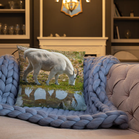 Rocky Mountain Goat Reflecting Pool