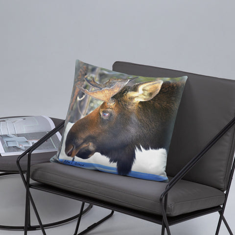 Bull Moose