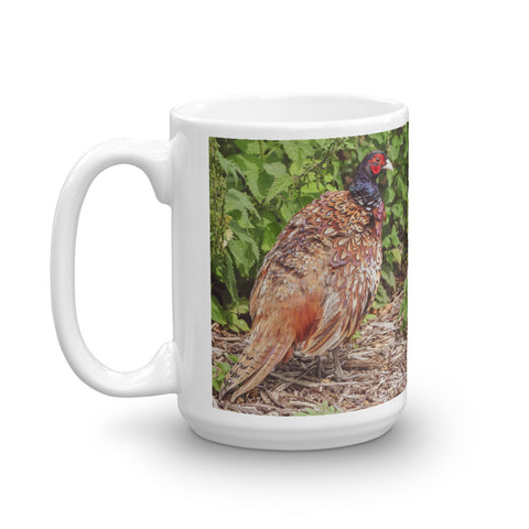 English Pheasant