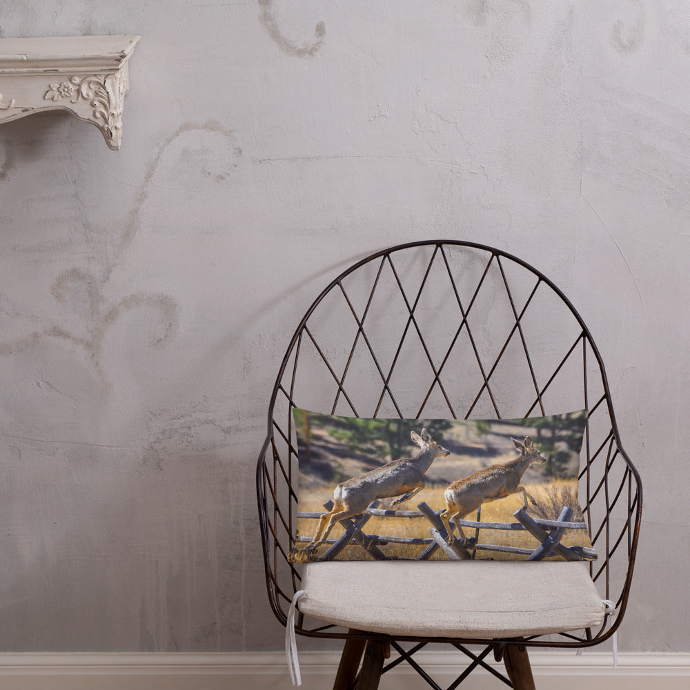 Rocky Mountain Mule Deer Steeplechase