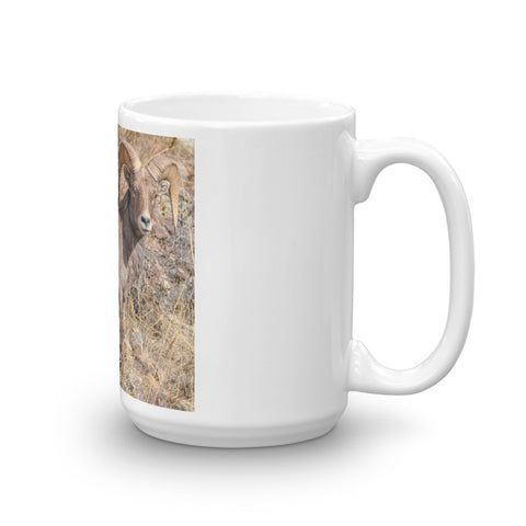 Rocky Mountain Bighorn Sheep