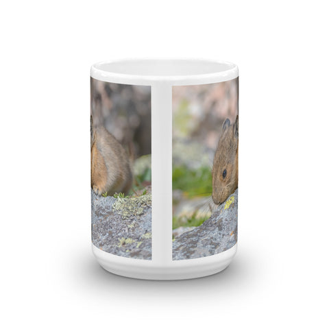 Baby Pika at Mount Evans
