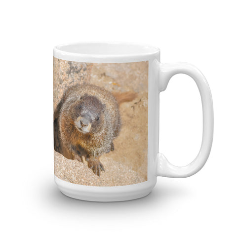 Curious Yellow-bellied Marmot