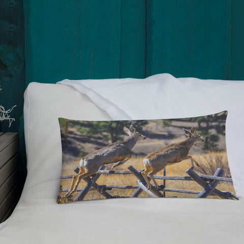 Rocky Mountain Mule Deer Steeplechase