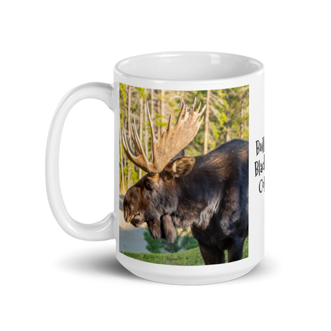 Bull Moose in Black Hawk