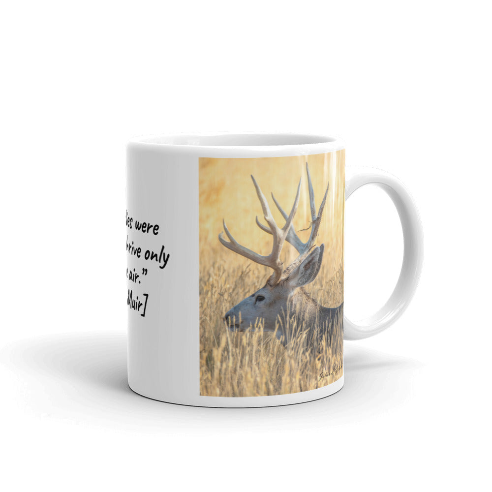 Stag at the Rocky Mountain Arsenal