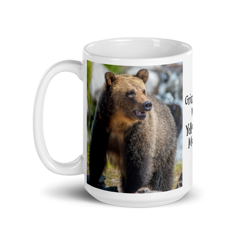 Grizzly Bear
