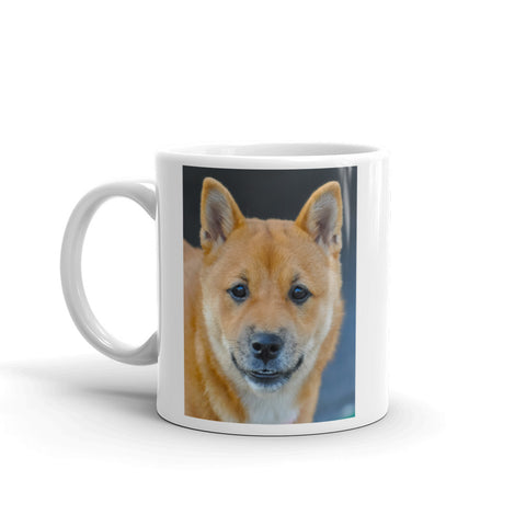 Shiba Inu