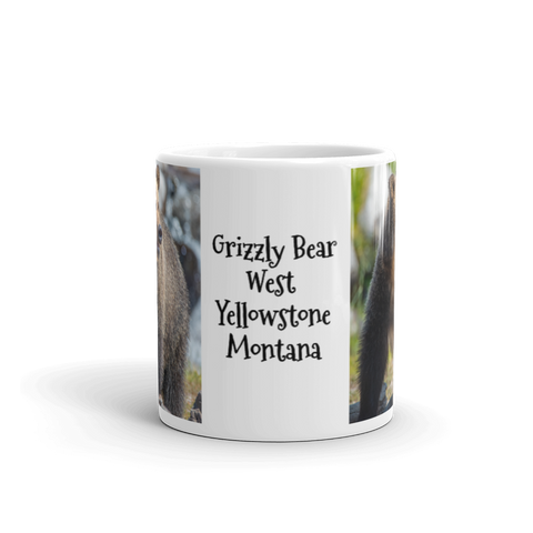 Grizzly Bear