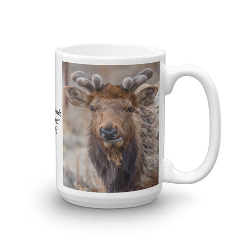 Bull Elk in Moraine Park