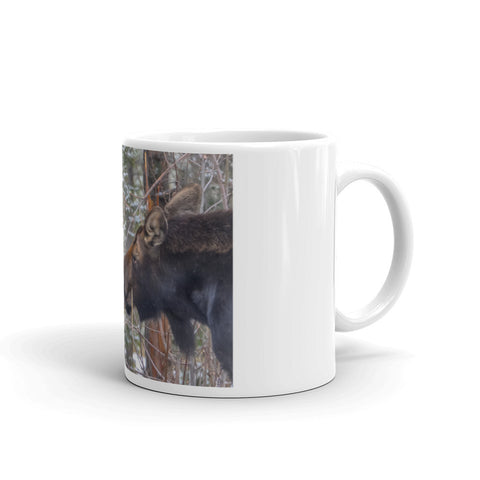 Moose Kiss